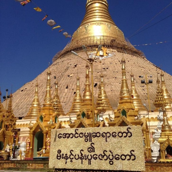 Meet your Posher, Katherine - Picture 3 of 8